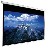 Accuscreen Electric NTSC (3:4) 305/10' (69x92") 175*234 MW