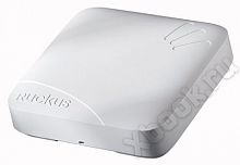 Ruckus Wireless 901-7982-WW00