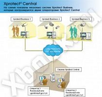 Milestone XPCC1